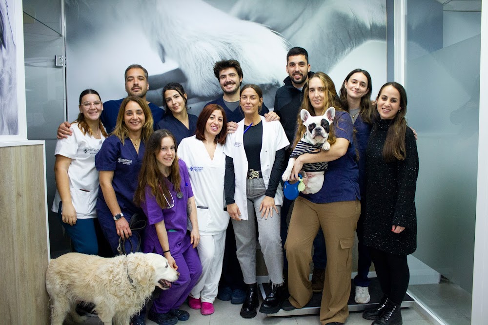 Clinica Veterinaria Málaga