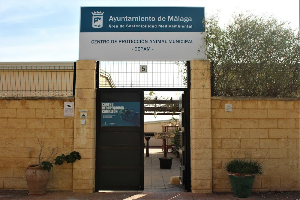 Centro de Protección Animal Municipal de Málaga