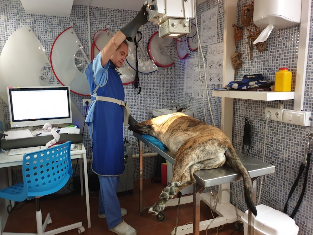 Clinica Veterinaria Echevarría