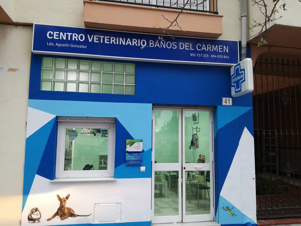 CLÍNICA VETERINARIA BAÑOS DEL CARMEN