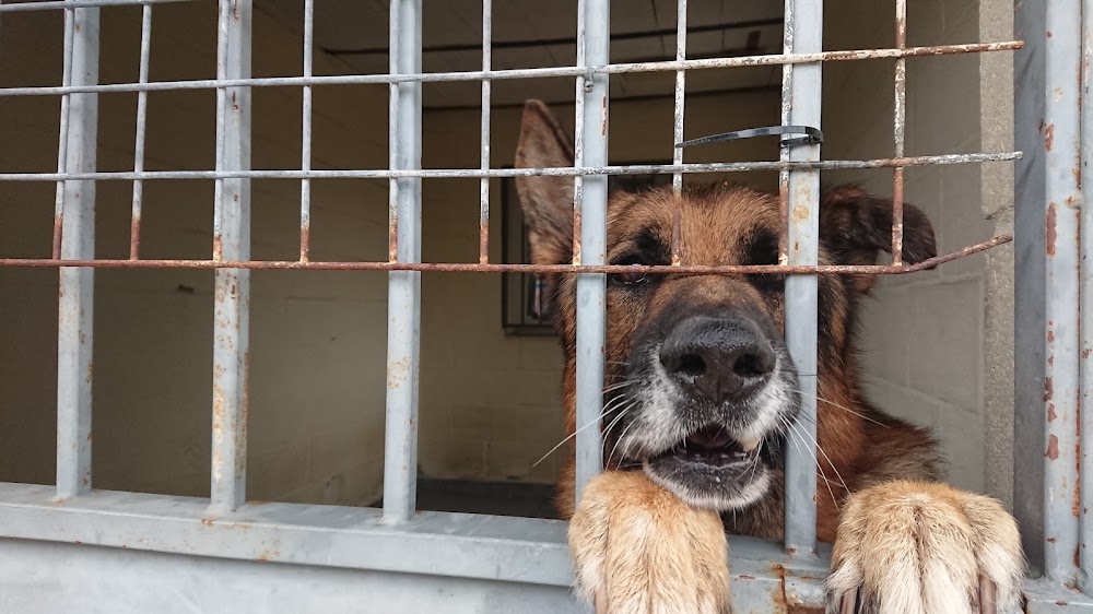 Sociedad Protectora de Animales y Plantas De Málaga