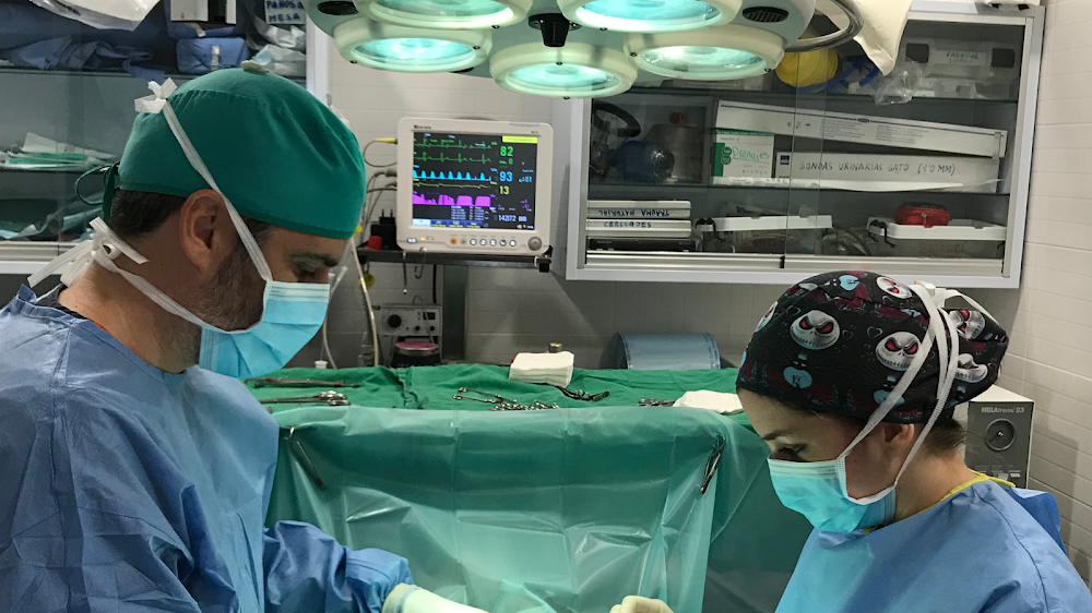 Clínica Veterinaria Miraflores del Palo