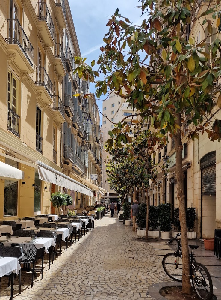 MLT Abogados y Economistas