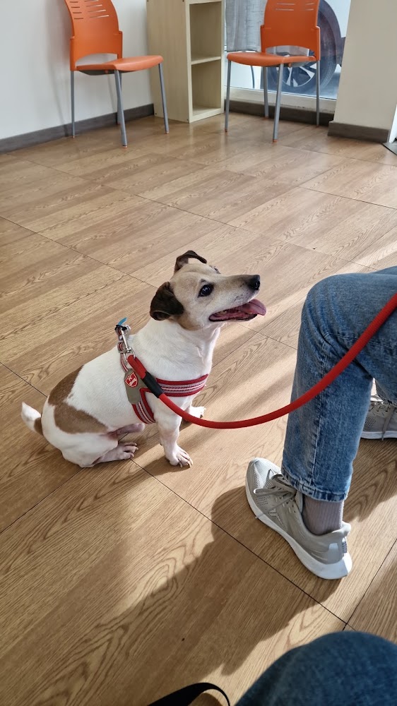 Clinica Veterinaria Málaga